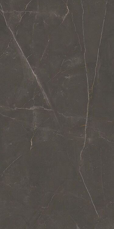 Linearstone 59,8x119,8 brown gres rect. mat.